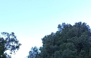 La ventada supera els 120 km/h a cotes altes del Pirineu i frega els 170 km/h al nord de l’Alt Empordà