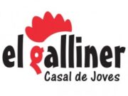 Ripoll inicia la redacció del Pla Local de Joventut 2027-2030