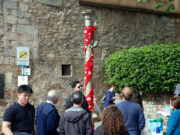Girona es prepara per a una nova edició de Temps de Flors que s’estén a 113 espais de la ciutat