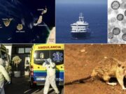 Canàries podria patir un greu deteriorament reputacional pel cas del MV Hondius