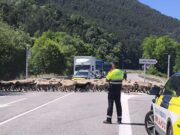 El sorprenent trasllat que va obligar a tallar la C-26 a Ripoll